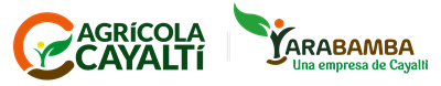 Cayaltí